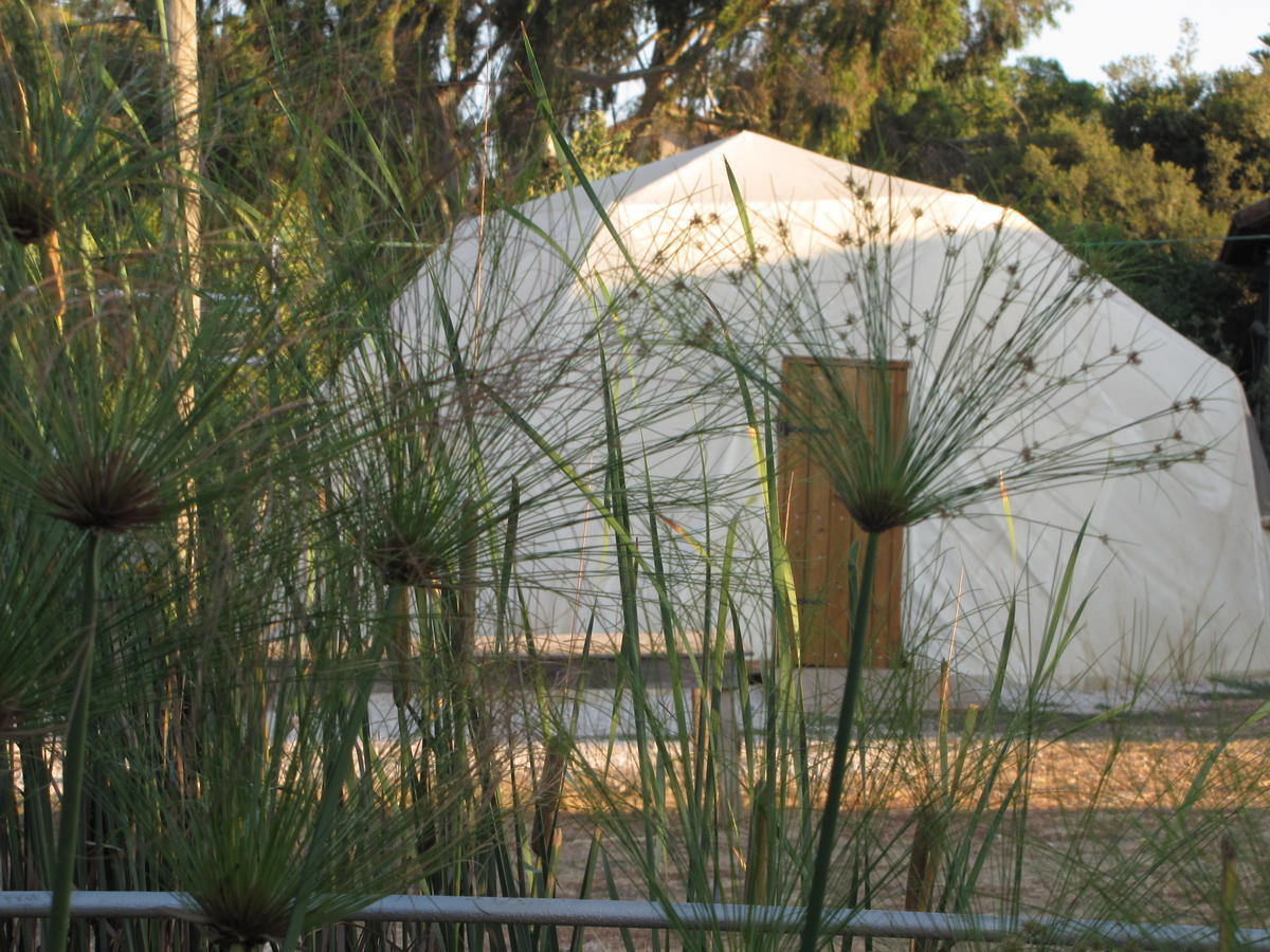 Yarok Az - Ecolodge Farm Ilaniya Ruang foto