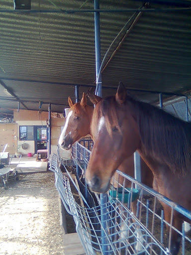 Yarok Az - Ecolodge Farm Ilaniya Bagian luar foto