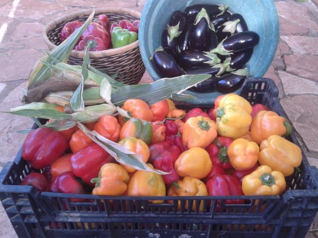 Yarok Az - Ecolodge Farm Ilaniya Bagian luar foto