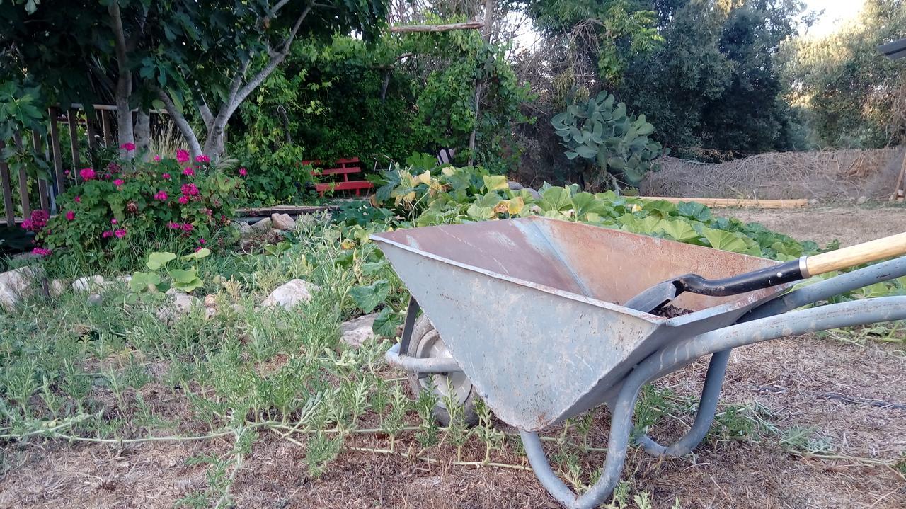 Yarok Az - Ecolodge Farm Ilaniya Bagian luar foto